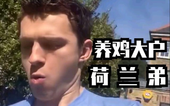 养 鸡 大 户 荷 兰 弟