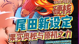 恶魔果实新设定！两种原初之力分析！！【有理有据海贼王】