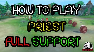 Ragnarok Rebirth : how to play priest full support แนะนำวิธีเล่น พระ สายซัพ สเตตัส สกิล ของสวมใส่pet