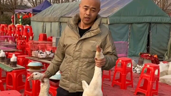 ماذا نأكل في اليوم الثالث من السنة القمرية الجديدة؟ أوزة مطبوخة في قدر حديدي