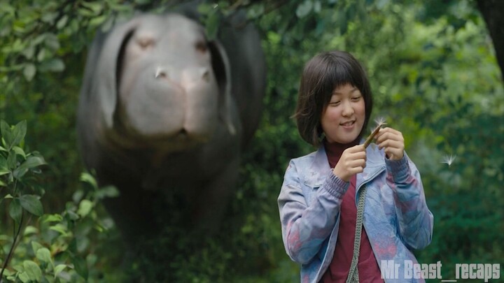 [Movie Recap] A Girl Risks To Prevent A Powerful Company From Kidnapping Her Fantastic Beast Okja