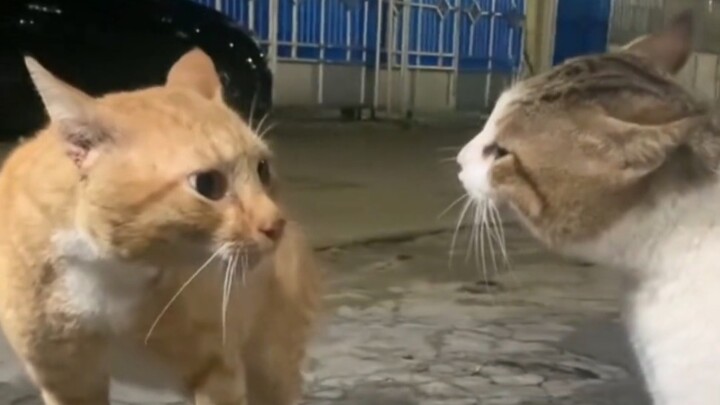 Ini tidak bisa disalahkan pada saya