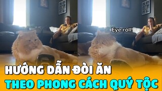 Hướng Dẫn ĐÒI ĂN Theo Phong Cách QUÝ TỘC | Siêu Thú Cưng