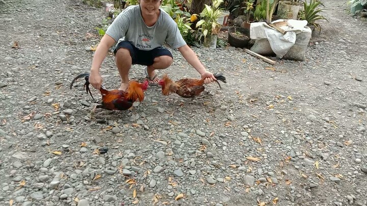 paugnat sa kusog