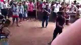 nakabawi pa sa talisay