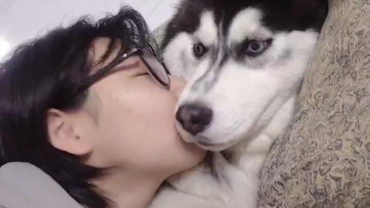 Kamu sayang anjing kecil, anjing kecil tahu itu. Anjing kecil juga sayang kamu.
