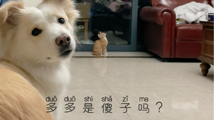 นักเรียนคนนี้ดูไม่ค่อยฉลาดเท่าไหร่