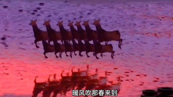 快看呀！傻狍子全家又开心的蹦蹦跳跳起来了，记得艾特喜欢的人也看看吧！