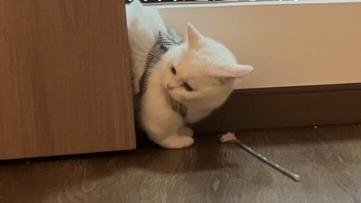 Hehe~ Đừng đùa với kẻ ngốc~