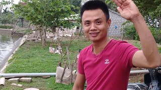 Biển đi kéo cá ao.toàn trắm khủng