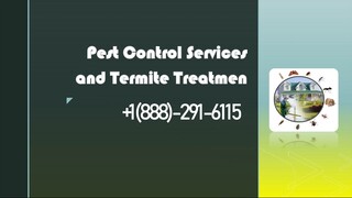 Exterminator Services 📲 𝟭(𝟖𝟖𝟖‣𝟐𝟗𝟏‣𝟔𝟏𝟏𝟓)👈 Exterminator Phone Number🎭 U.S.A Exterminator