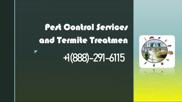 Pest Control Services 📲 𝟭(𝟖𝟖𝟖‣𝟐𝟗𝟏‣𝟔𝟏𝟏𝟓)👈 Near Me Phone Number🎭 U.S.A pest control