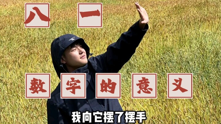 What if this world had no numbers?