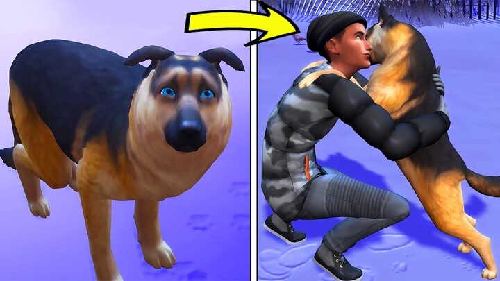 ABANDONED DOG 🐶😭 SIMS 4 STORY (based on true events)