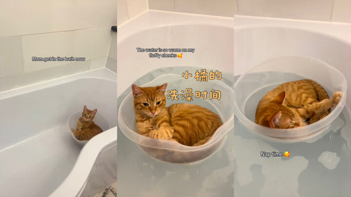 حان وقت استحمام الصغير جو! 🧡🥰