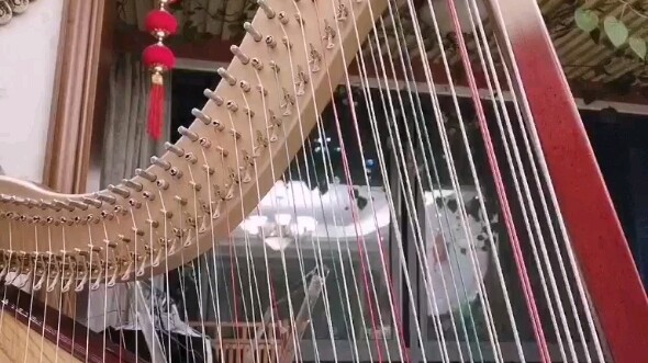 Suy nghĩ du hành xuyên thời gian và không gian~Honghou