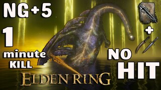 NG+5 No HIT Radagon & Elden Beast Burned in Just a 1Minute ( No Summons)
