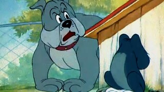 Tom và Jerry là một bộ phim kinh dị