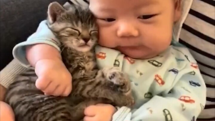 [Animals]Lovely moments of kittens|<Sweets parade>