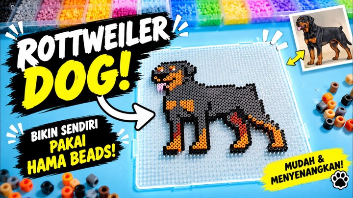 Anjing Rottweiler Keren dari Hama Beads!