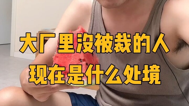 I chatted with my friends who haven’t been laid off about what it’s like working at big tech compani