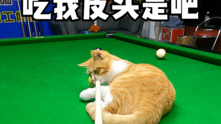 你小子今天挺皮啊