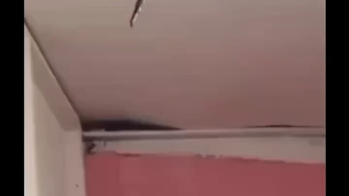 This is seriously scary—looks like we just poked a snake’s nest!