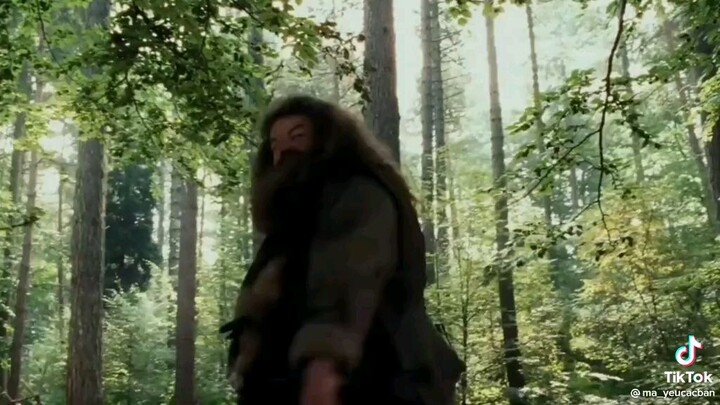 có mấy đứa bn thân tốt ghê :)))