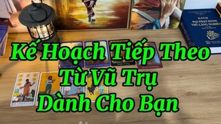 🦚🦋⛵️Kế Hoạch Tiếp Theo Vũ Trụ Dành Cho Bạn