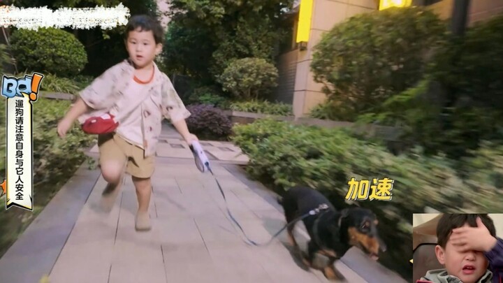 พาหมาเดินเล่นยังเหนื่อยกว่าพาอูฐอีก คุณปู่รีบเอาลูกหมามาให้ซงจื่อสิ!