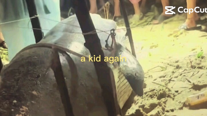 cá ông....
