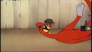 Use cat and mouse to open up the official status of CSGO