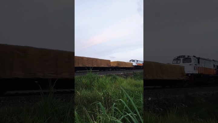 Kereta Api Barang View Gunung Merapi Jogja #shorts