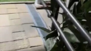 الفيديو هو الإنترنت: شاهد بحذر