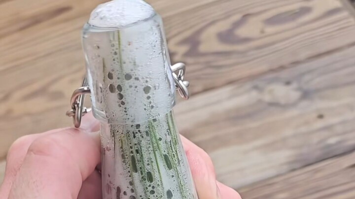 Bạn có biết lá thông còn có thể dùng để làm nước ngọt có ga không?