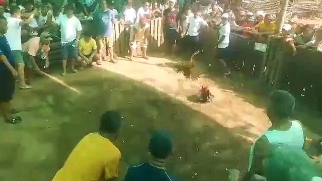 Win -gold ang laki ng kalaban kaso patay din