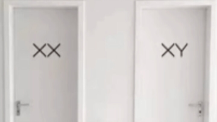 Various weird toilet signs