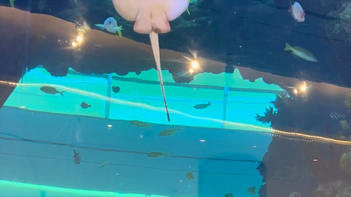 Mengabadikan si kecil yang suka main terjun bebas—banyak orang berdiri di sana ngeliatin dia main ka