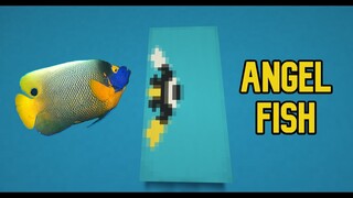 Banner design ideas: How to make a FISH banner in Minecraft! (Angel Fish)