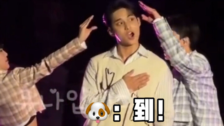 【คิมมินกยู】ลูกหมาลั่วจือของใครหายไปแล้ว!!