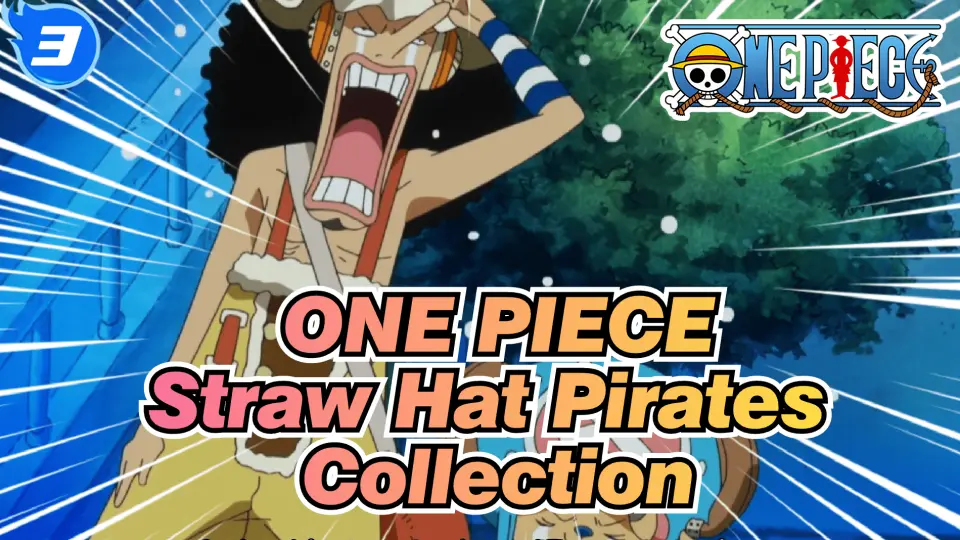 One Piece Straw Hat Pirates Living On The Fleet Ep 17 3 Bilibili