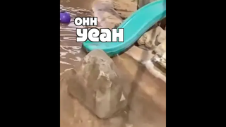 เห็นฉันมั้ย