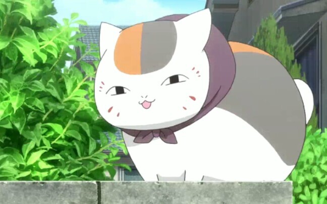 [Natsume Yuujinchou Roku] Seri kucing backpacking~