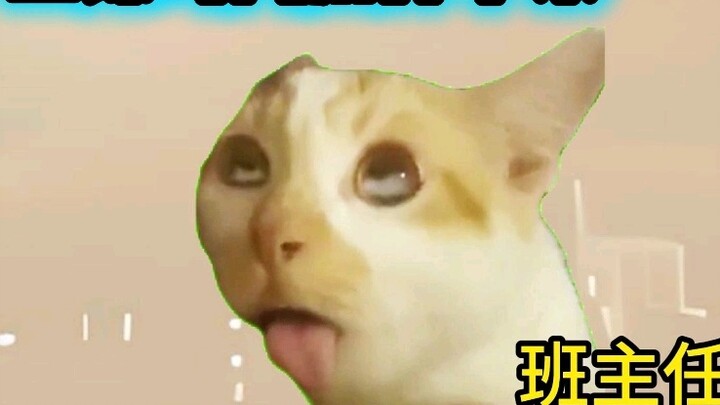 تم قطع الرأس