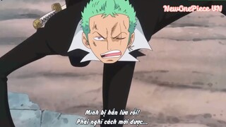 Zoro vs Pica (part 3)