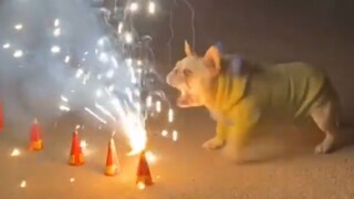 ⚡️Eating fireworks by mistake⚡️