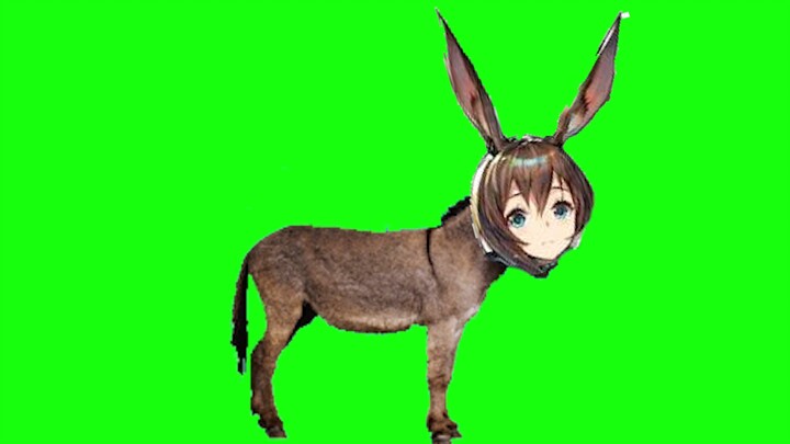 Hello everyone, I’m Ami Donkey.
