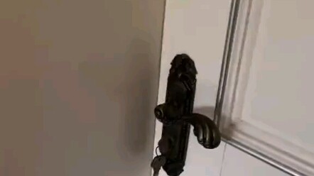 هل هذا جنة الرجال؟