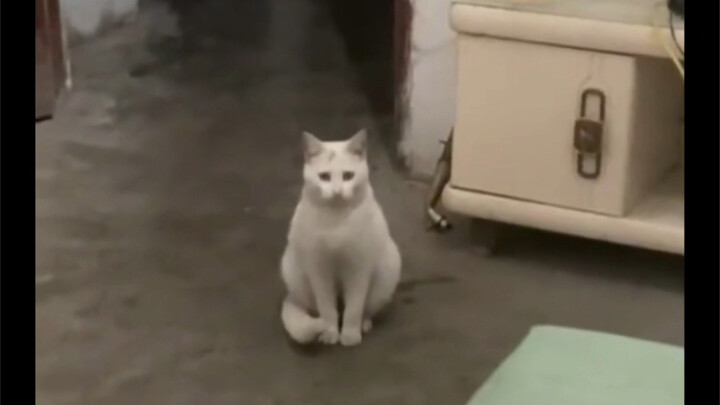 “ฉันนึกว่าเราเป็นครอบครัวเดียวกันซะอีก”