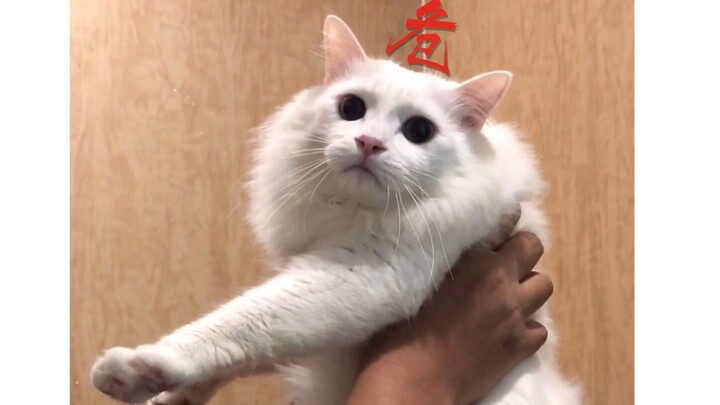 Kalau pas kamu ke toilet ternyata enggak ada tisu…